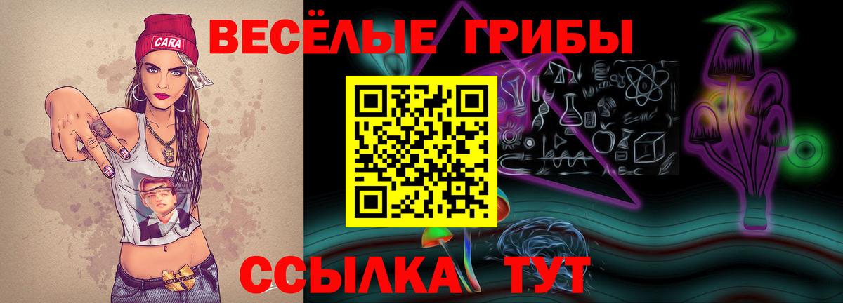 Галлюциногенные грибы мицелий Мурманск