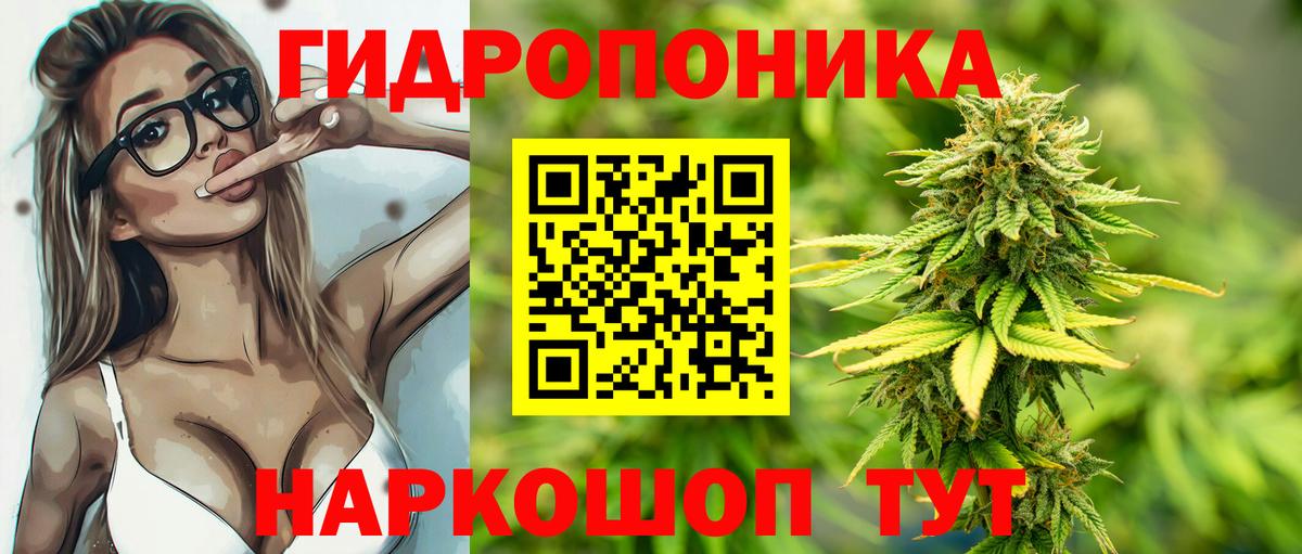 Шишки марихуана THC 21% Мурманск